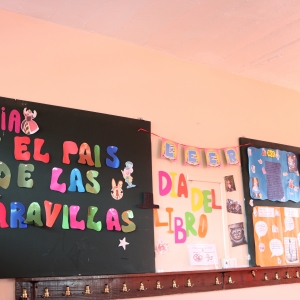 Diarios Murales Día del Libro